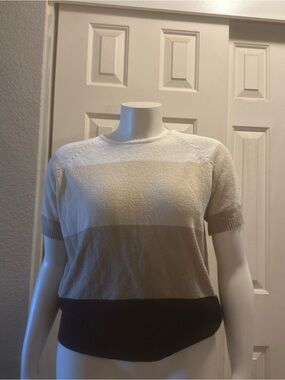 White Stag Cream, Tan & Black Short-Sleeve Colorblock Knit Top